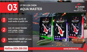 Aqua Master – Thức ăn cá Koi Chất lượng quốc tế với giá rẻ nhất